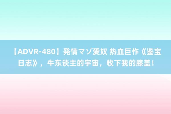 【ADVR-480】発情マゾ愛奴 热血巨作《鉴宝日志》，牛东谈主的宇宙，收下我的膝盖！