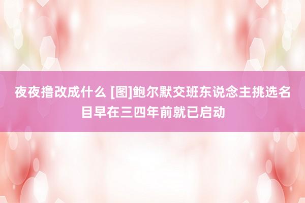 夜夜撸改成什么 [图]鲍尔默交班东说念主挑选名目早在三四年前就已启动