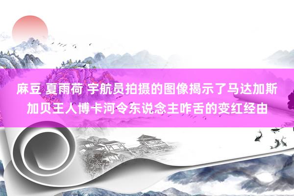 麻豆 夏雨荷 宇航员拍摄的图像揭示了马达加斯加贝王人博卡河令东说念主咋舌的变红经由