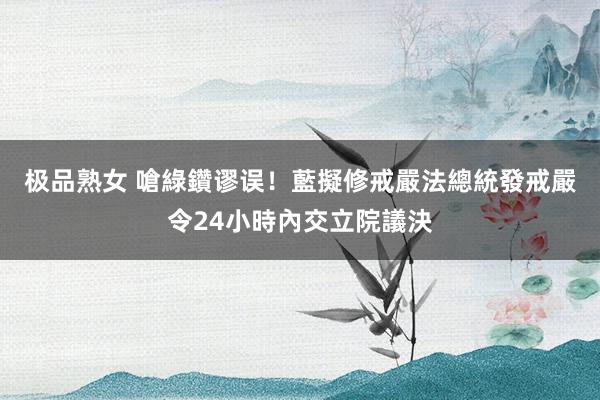 极品熟女 嗆綠鑽谬误！藍擬修戒嚴法　總統發戒嚴令24小時內交立院議決
