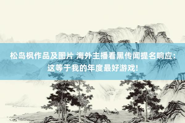 松岛枫作品及图片 海外主播看黑传闻提名响应：这等于我的年度最好游戏!