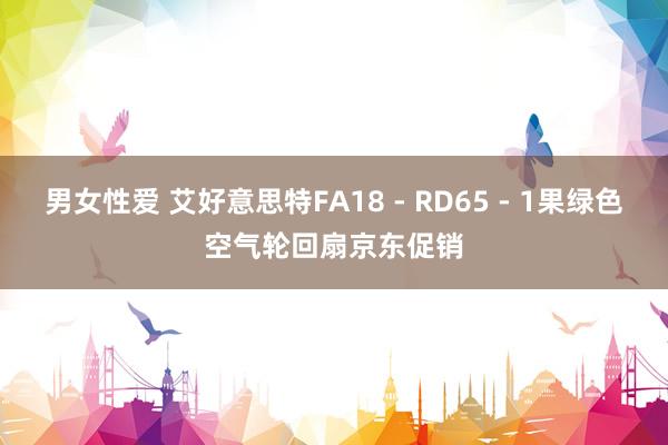 男女性爱 艾好意思特FA18 - RD65 - 1果绿色空气轮回扇京东促销