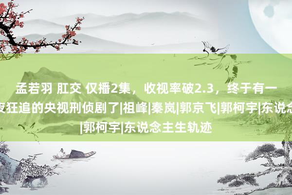 孟若羽 肛交 仅播2集，收视率破2.3，终于有一部让我一夜狂追的央视刑侦剧了|祖峰|秦岚|郭京飞|郭柯宇|东说念主生轨迹