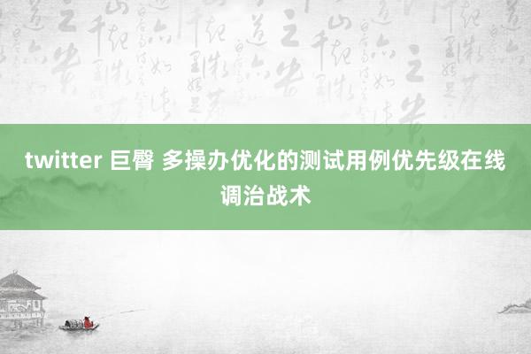 twitter 巨臀 多操办优化的测试用例优先级在线调治战术