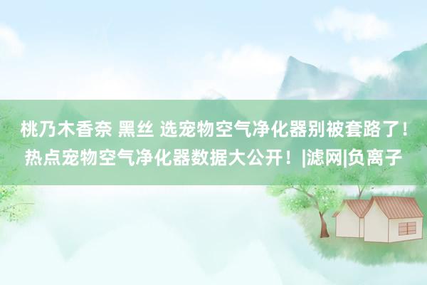 桃乃木香奈 黑丝 选宠物空气净化器别被套路了！热点宠物空气净化器数据大公开！|滤网|负离子
