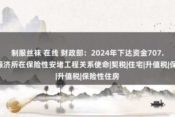 制服丝袜 在线 财政部：2024年下达资金707.8亿元，赈济所在保险性安堵工程关系使命|契税|住宅|升值税|保险性住房