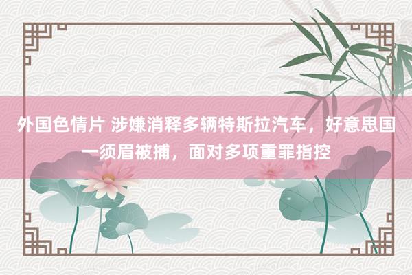 外国色情片 涉嫌消释多辆特斯拉汽车，好意思国一须眉被捕，面对多项重罪指控