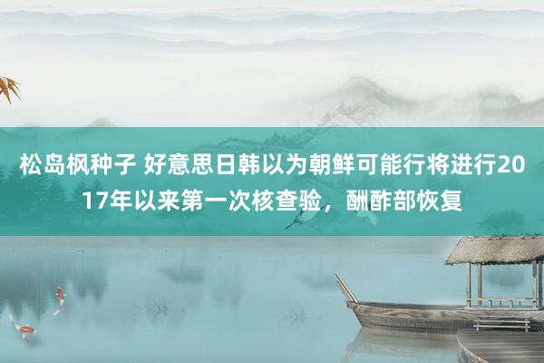 松岛枫种子 好意思日韩以为朝鲜可能行将进行2017年以来第一次核查验，酬酢部恢复