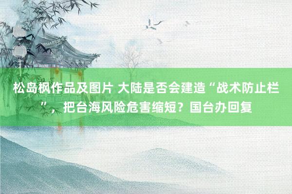 松岛枫作品及图片 大陆是否会建造“战术防止栏”，把台海风险危害缩短？国台办回复