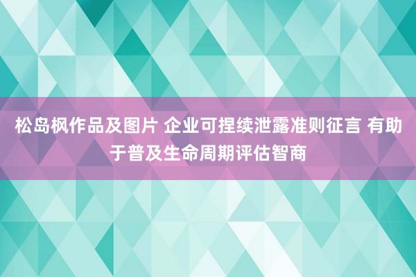 松岛枫作品及图片 企业可捏续泄露准则征言 有助于普及生命周期评估智商
