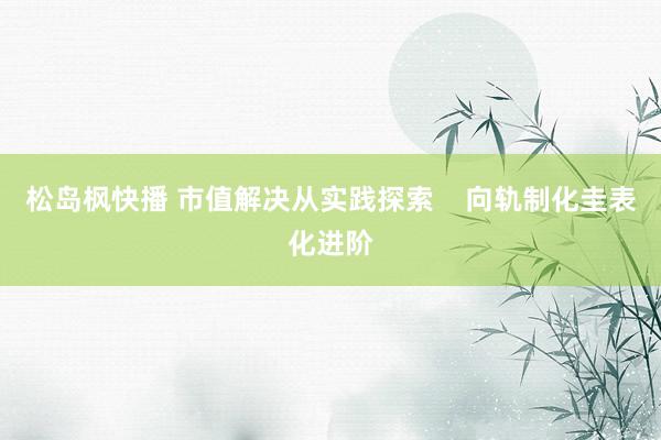 松岛枫快播 市值解决从实践探索    向轨制化圭表化进阶
