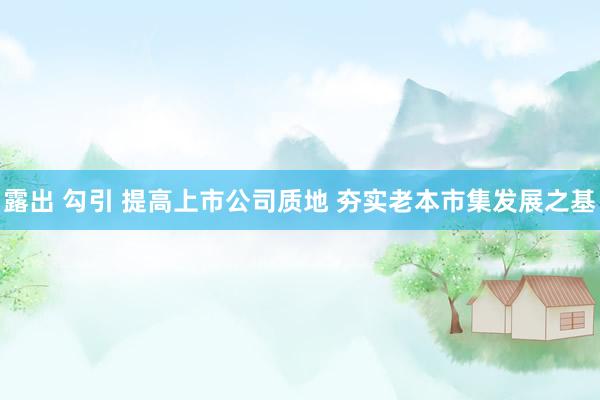 露出 勾引 提高上市公司质地 夯实老本市集发展之基