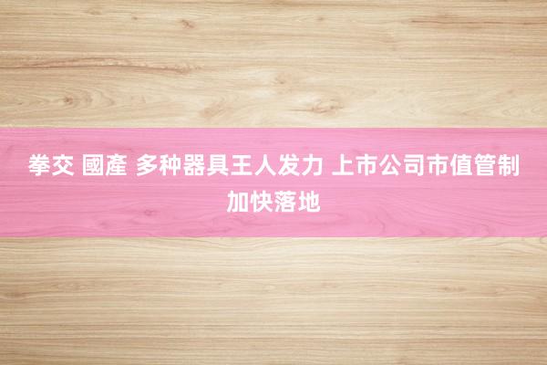 拳交 國產 多种器具王人发力 上市公司市值管制加快落地