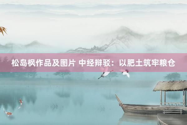 松岛枫作品及图片 中经辩驳：以肥土筑牢粮仓