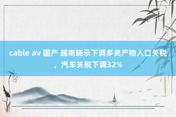 cable av 国产 越南晓示下调多类产物入口关税，汽车关税下调32%